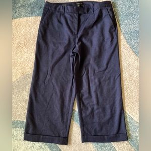 Talbots Italian Flannel Wide Leg Slacks